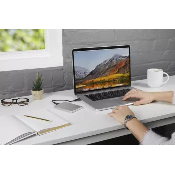Verbatim Store 'n' Go ALU plonas nešiojamasis kietasis diskas 1 TB sidabrinis