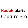 Kodak Alaris Capture Pro, Group G, 1 metai, 1 metai, Licencija
