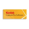 Kodak Alaris Capture Pro, Auto Import, Renewal, 3 metai, 3 metai, Pratęsimas