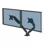 Fellowes Platinum serijos dvigubas monitoriaus laikiklis – tvirtinimas dviems 8 kg 40 ″ ekranams – reguliuojamas dvigubas monitoriaus stalo laikiklis – pasvirimas 45° sukiojimas 180° pasukimas 360° sukimasis 360°, VESA 75 x 75/100 x 100 – juoda
