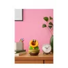 Nintendo Kalbanti Gėlė, Kolekcinė figūrėlė, Video žaidimas