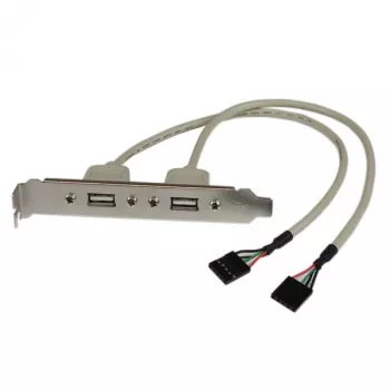 StarTech.com 2 prievadų USB A lizdinė jungčių plokštelė adapteris, 2 x IDC, 2 x USB A, 0,286 m, sidabrinė