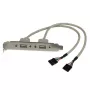 StarTech.com 2 prievadų USB A lizdinė jungčių plokštelė adapteris, 2 x IDC, 2 x USB A, 0,286 m, sidabrinė