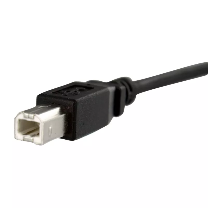 StarTech.com 1 pėdos ilgio montavimo skydelyje USB kabelis B į B – įvadinis/kištukinis, 0,3 m, USB B, USB B, USB 2.0, 0,48 Gbit/s, juodas