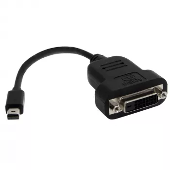 StarTech.com Mini DisplayPort į DVI adapteris – aktyvus Mini DisplayPort į DVI-D adapterio keitiklis – 1080p vaizdas – mDP arba Thunderbolt 1/2 Mac/PC į DVI monitoriaus adapteris, mDP į DVI vienos jungties