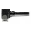 StarTech.com 1 m USB 2.0 A į dešinį kampą B laidas - M/M