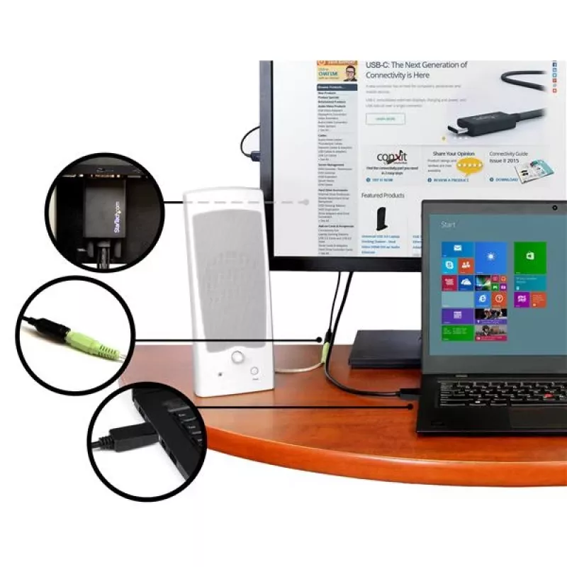 StarTech.com DisplayPort į VGA adapterio kabelis su garsu – 10 pėdų (3 m)