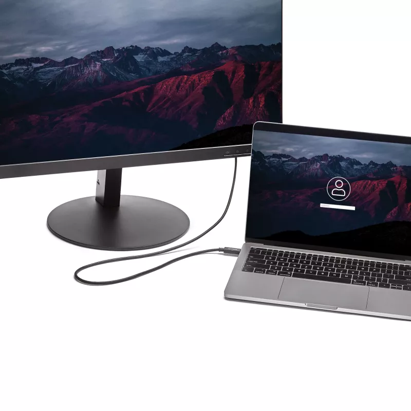 “StarTech.com” 2 m USB-C į DVI laidas – 1920 x 1200 – juodas