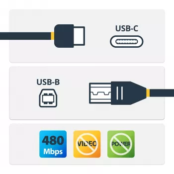 StarTech.com USB-C į USB-B kabelis - V/V - 2 m (6 pėd.) - USB 2.0