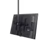 StarTech.com TV lubų laikiklis – pilnai judamas universalus kabinamas vieno ekrano laikiklis su reguliuojamu teleskopiniu ilgu stiebu – pasvirimo / pasukimo – VESA kronšteinas 32 inch–75 inch ekranams