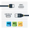 StarTech.com USB-C į Mini-USB kabelis - M/M - 2 m (6 pėd.) - USB 2.0
