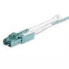 StarTech.com 10 m (30 pėd.) MTP(F)/PC į 4x LC/PC dvipusis atšakojamasis OM3 daugiamodis šviesolaidinis kabelis, OFNP Plenum, 40G tinklai, maži įterpimo nuostoliai – šviesolaidinis džemperinis laidas