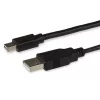 StarTech.com Mini DisplayPort į dviejų kanalų DVI adapteris – maitinamas per USB – juodas
