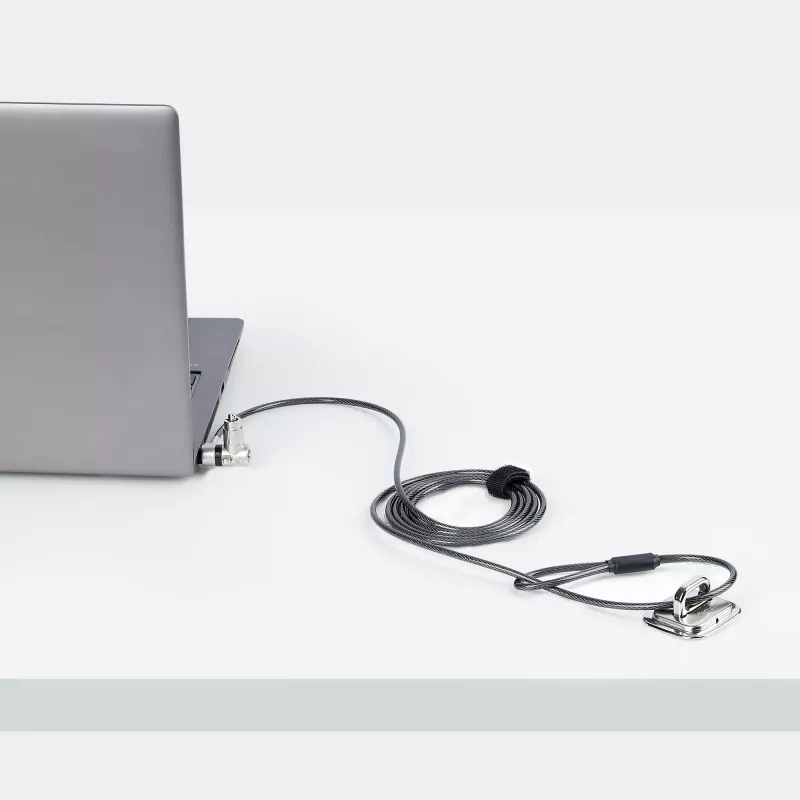 „StarTech.com“ universalus nešiojamojo kompiuterio užraktas, 25 vnt. pakuotė, 6,6 pėdos (2 m), bendrojo rakto fiksavimo laidas, kompiuterio apsauga, suderinamas su „Noble Wedge®“ / „Nano“ / „K-Slot“; apsauga nuo vagystės, atsparus perpjovimui laidas