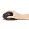 Pelė Kensington Pro Fit Ergo MY630 EQ RF belaidė Bluetooth USB Type-A
