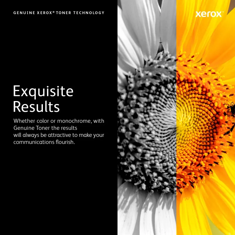 Xerox Genuine Phaser® 3052/3260, WorkCentre® 3215/3225 juodos spalvos didelės talpos dažų kasetė (3000 puslapių) - 106R02777
