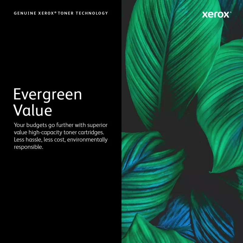 Xerox Genuine ® VersaLink® C9000 spalvoto spausdintuvo žydros spalvos standartinės talpos dažų kasetė (12 300 puslapių) – 106R04066