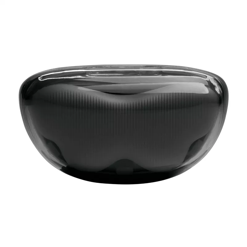 JBL Tune Flex 2 Ghost Edition ausinės True Wireless Stereo (TWS) į ausis įdedamos Skambučiams / Muzikai Bluetooth Juoda