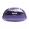 JBL Tune Flex 2 Ghost Edition ausinės True Wireless Stereo (TWS) į ausis dedamos skambučiams / muzikai Bluetooth violetinės