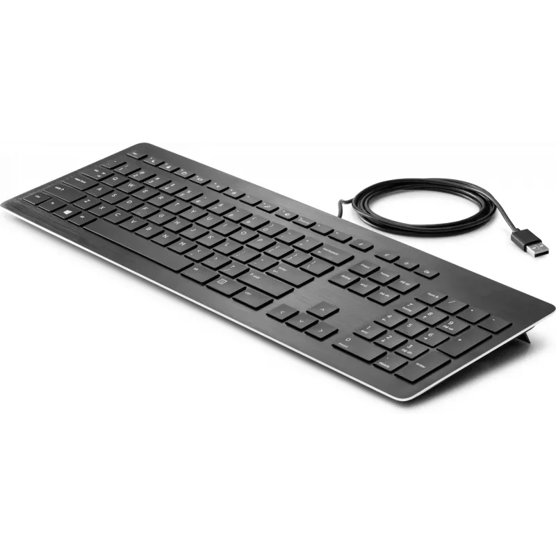 HP USB Premium klaviatūra, pilno dydžio (100 %), laidinė, USB, membraninė, juoda