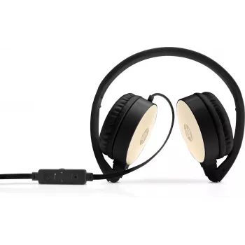 HP Stereo ausinės H2800 (juodos su šilkiniu auksu), laidinės, skambučiams / muzikai, 125 g, ausinės, juoda, auksinė