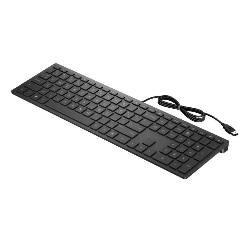 HP Pavilion laidinė klaviatūra 300, pilno dydžio (100%), laidinė, USB, mechaninė, juoda