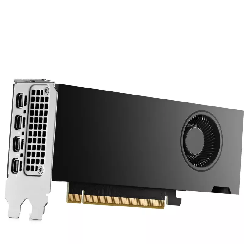 HP NVIDIA RTX 2000 Ada 16GB GDDR6 grafikos plokštė, 4x Mini DisplayPort (8D6B8AA)