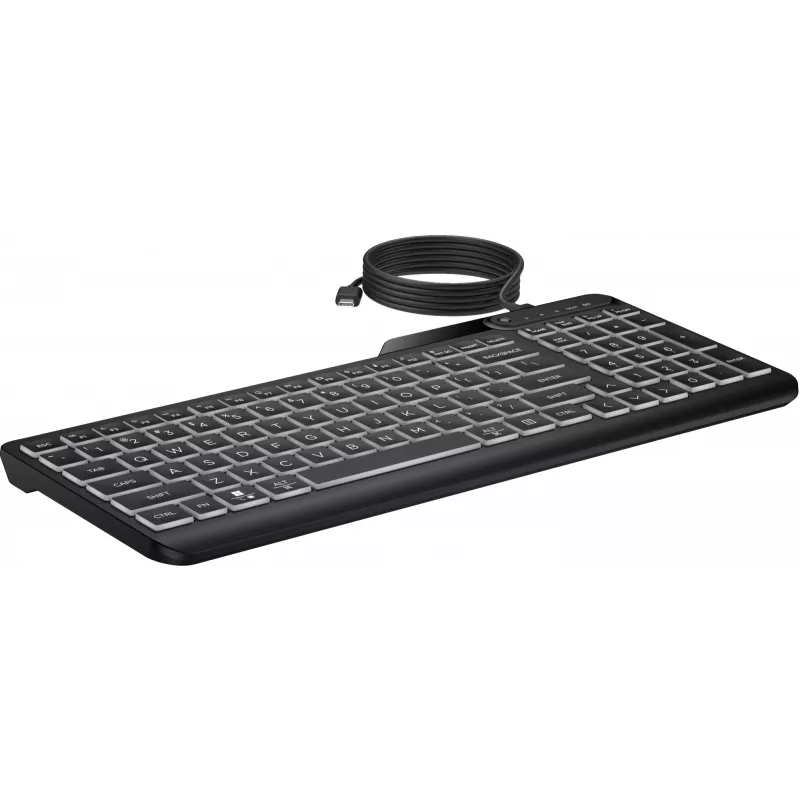 HP 405 kelių įrenginių apšviečiama laidinė klaviatūra, pilno dydžio (100 %), laidinė, USB, membraninė, juoda