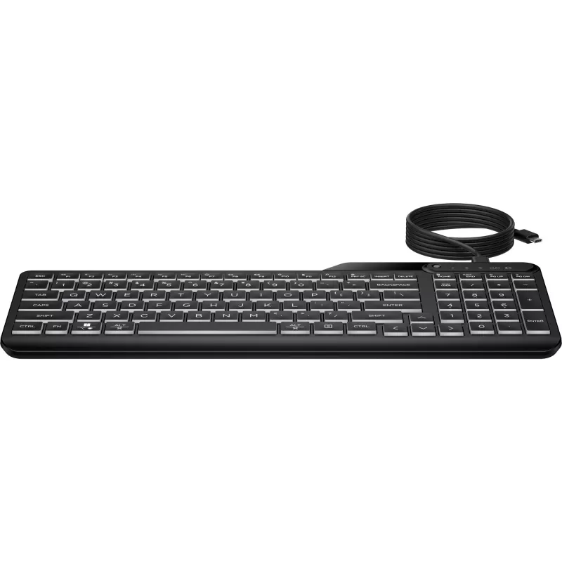 HP 405 kelių įrenginių apšviečiama laidinė klaviatūra, pilno dydžio (100 %), laidinė, USB, membraninė, juoda