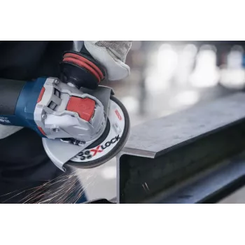 Bosch 2 608 619 198 kampinio šlifuoklio priedas Žiedlapinis diskas