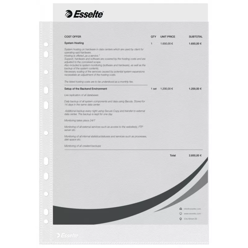 Esselte plastikiniai vokeliai A4 – Economy –, 210 x 297 mm (A4), permatomi, polipropilenas (PP), vertikalūs, įdėjimas iš viršaus, 230 mm