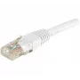 Hypertec 246783-HY tinklo kabelis baltas 1 m Cat6 U/UTP (UTP)