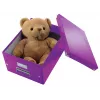 Leitz Click & Store WOW vidutinė laikymo dėžė, violetinė, kartoninė, 16,7 l, 281 mm, 200 mm, 265 x 335 x 188 mm