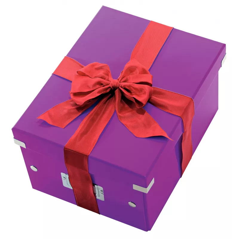 Leitz Click & Store WOW vidutinė laikymo dėžė, violetinė, kartoninė, 16,7 l, 281 mm, 200 mm, 265 x 335 x 188 mm