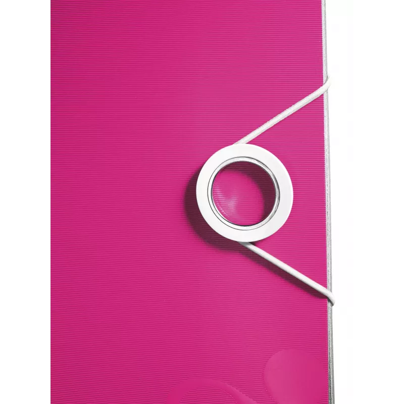 Leitz svirties segtuvas Active PP WOW A4/80mm, A4, poli putplastis, rožinis, 500 lapų, 80 g/m², 8,2 cm