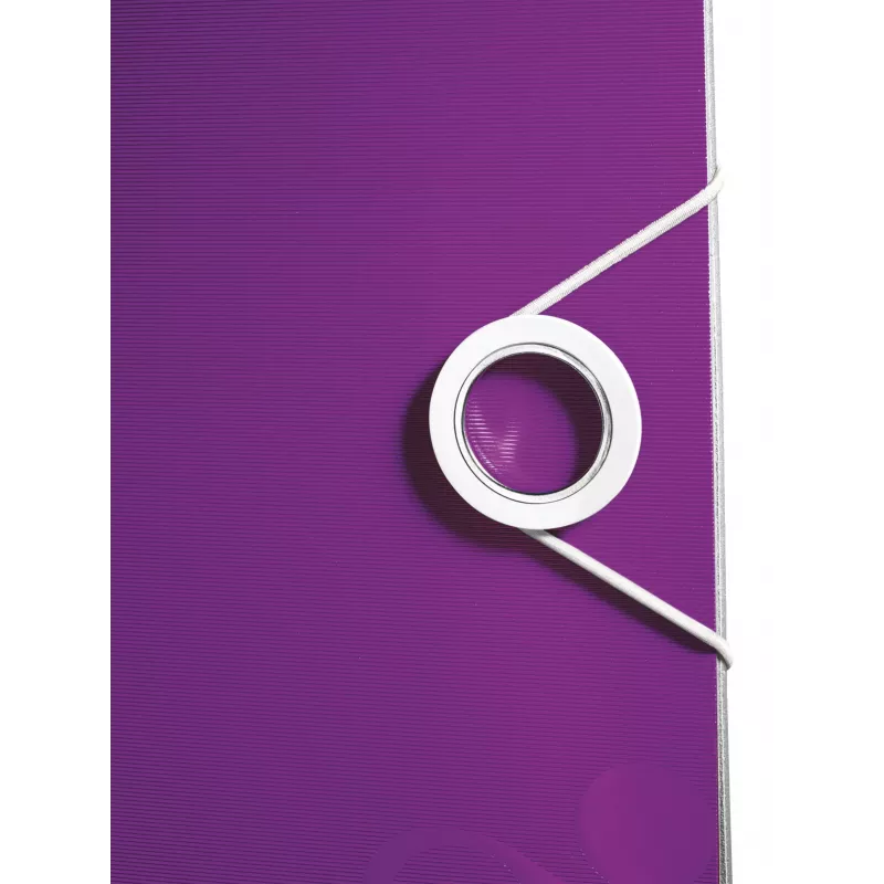 Leitz svirties segtuvas Active PP WOW A4/80 mm, A4, polifoamas, violetinis, 500 lapų, 80 g/m², 8,2 cm