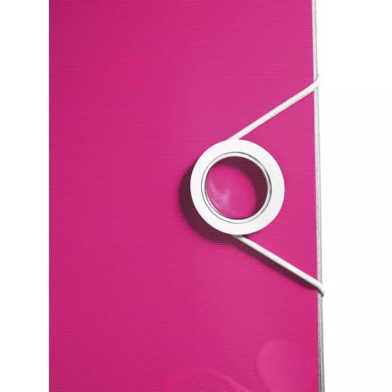 Leitz svirties segtuvas Active PP WOW A4/65mm, A4, poliuretanas, rožinis, 350 lapų, 80 g/m², 6,5 cm