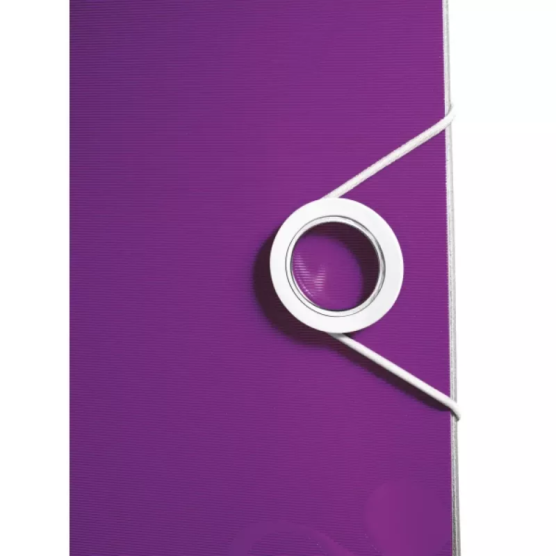 Leitz svirties segtuvas Active PP WOW A4/65mm, A4, polifoam, violetinė, 350 lapų, 80 g/m², 6.5 cm