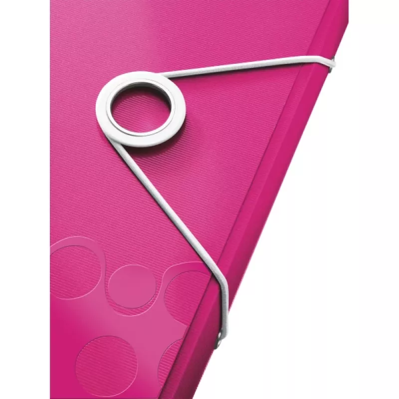 Leitz Project File WOW PP, įprastas dokumentų segtuvas, A4, polipropilenas (PP), metalinė, rožinė, 200 lapų, 254 mm