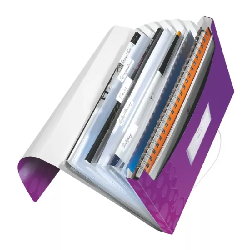 Leitz Project File WOW PP, A4, polipropilenas (PP), violetinė, 200 lapų, 254 mm, 38 mm