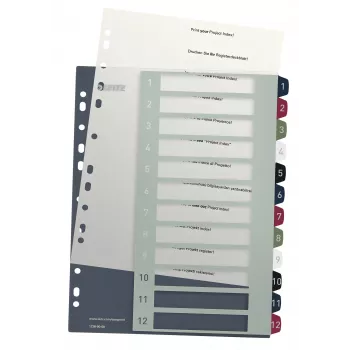 “Leitz Index” spausdinamas kompiuteriu 1-12 stiliaus PP A4+, skaitmeninė skirtukų rodyklė, polipropilenas (PP), įvairiaspalvis, vertikalus, A4 Maxi, 245 mm