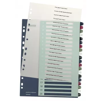 Leitz Index PC Printable 1-20 Style PP A4+, Skaitmeninis skirtukų rodyklė, Polipropilenas (PP), Įvairiaspalvis, Portretas, A4 Maxi, 245 mm