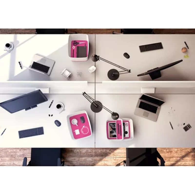 “Esselte 5258-10-23” laikymo padėklas, stačiakampis, akrilnitrilo butadieno stireno (ABS), rožinis, baltas