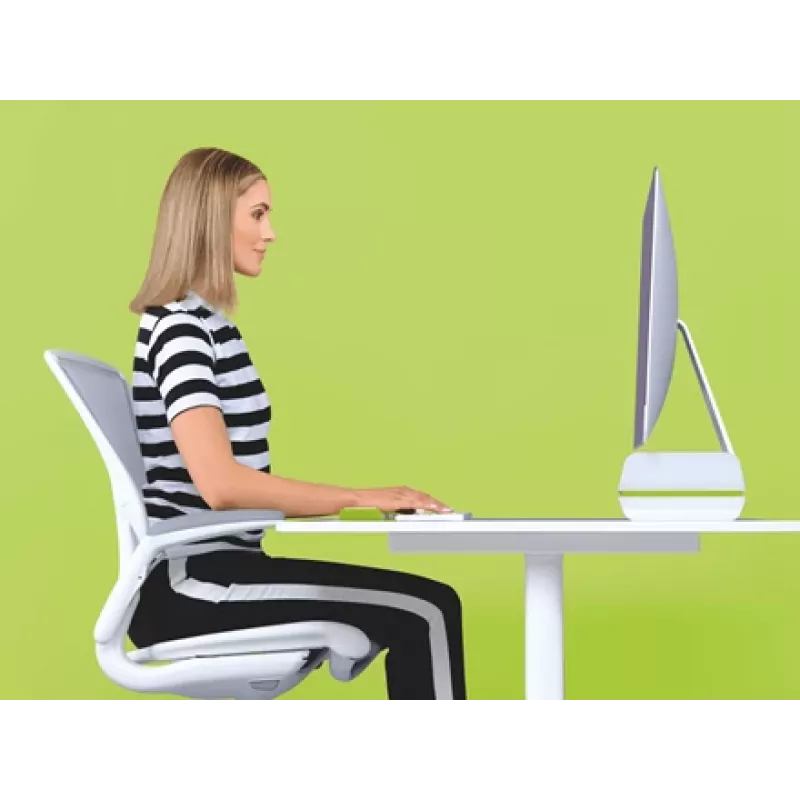 Leitz Monitor Stand Adjustable Ergo WOW, 68,6 cm (27 colių), Aukščio reguliavimas, Žalia, Balta