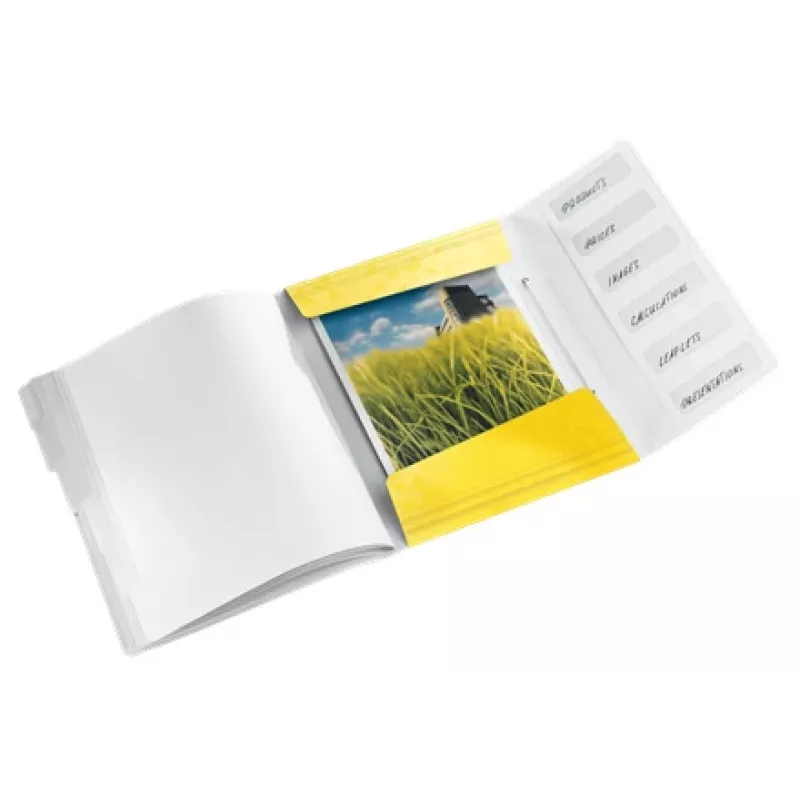 Leitz Divider Book WOW PP 6 skirtukai, įprastas dokumentų segtuvas, A4, polipropilenas (PP), geltonas, blizgus, 200 lapų
