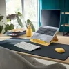 Leitz Cosy belaidė pelė, abiem rankoms tinkama, radijo dažnio belaidis + Bluetooth, 4000 DPI, pilka