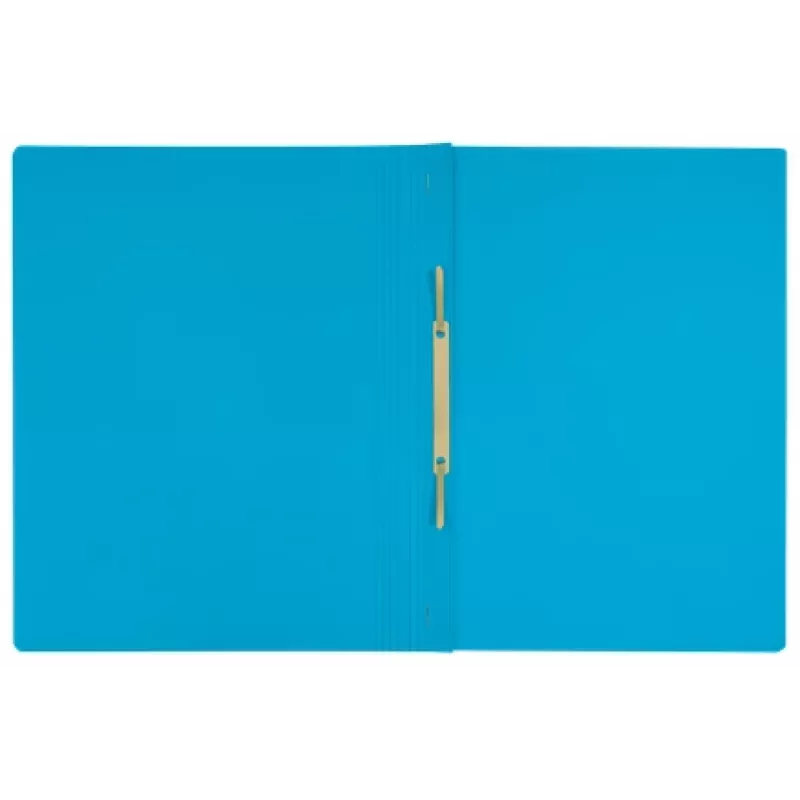 Leitz Recycle Card Flat File, įprastas bylų segtuvas, A4, kartonas, mėlynas, gulsčias/stačias, 250 lapų