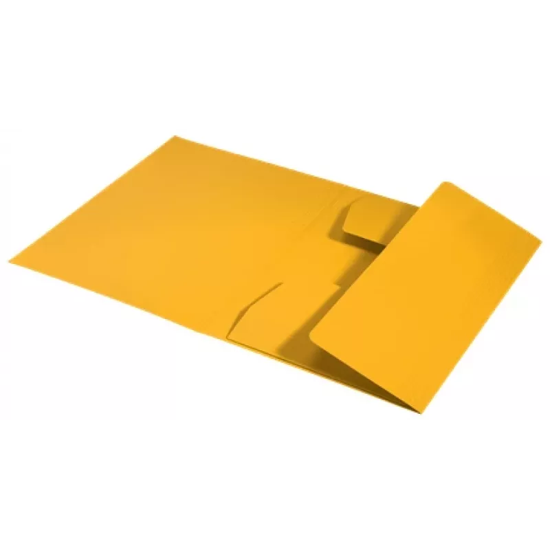 Leitz Recycle Card 3 atvartų aplankas, įprastas dokumentų aplankas, A4, kartoninis, geltonas, kraštovaizdžio/ portreto, 250 lapų