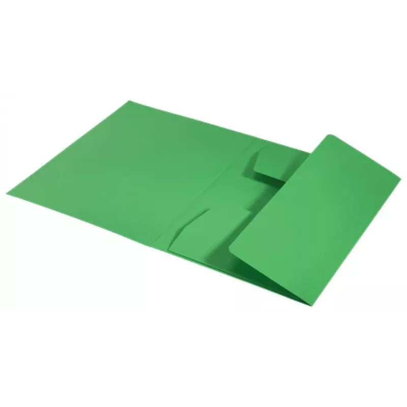 Leitz Recycle Card 3-Flap Folder, tradicinis dokumentų segtuvas, A4, kartoninis, žalias, gulsčias/stačias, 250 lapų