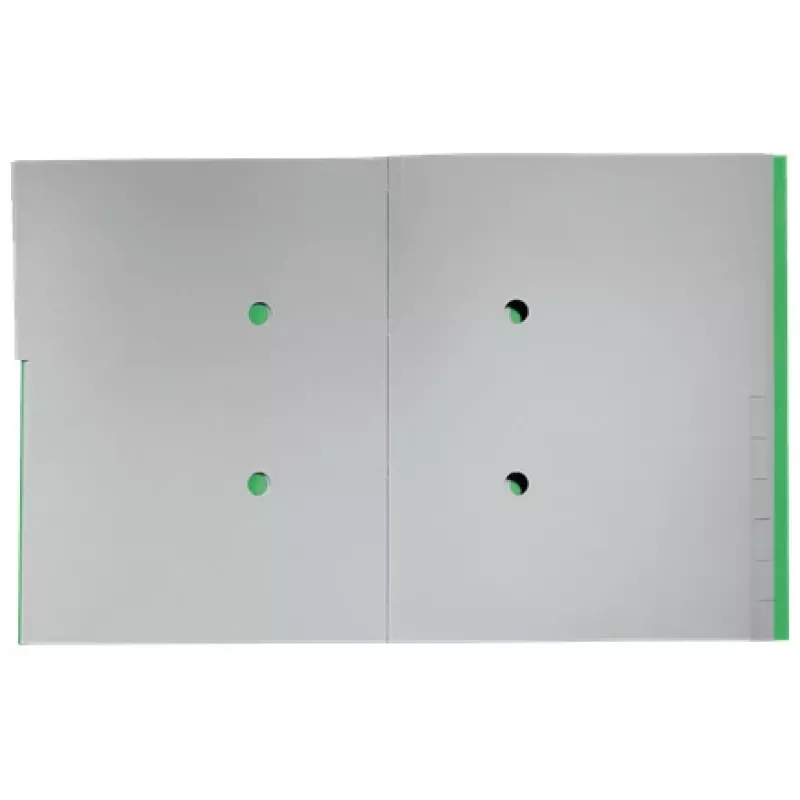 Leitz Recycle Card Divider Book, Tradicinis dokumentų segtuvas, A4, Kartonas, Žalia, 430 g/m², Elastinė juosta